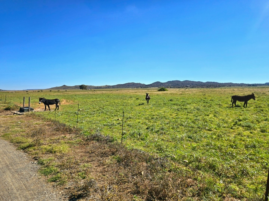 4 Bedroom Property for Sale in Bloemfontein Rural Free State